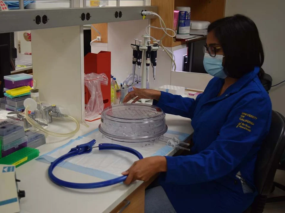 Woman working in the lab